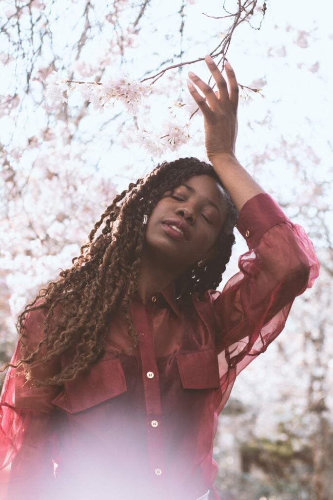 Portrait cerisiers Paris