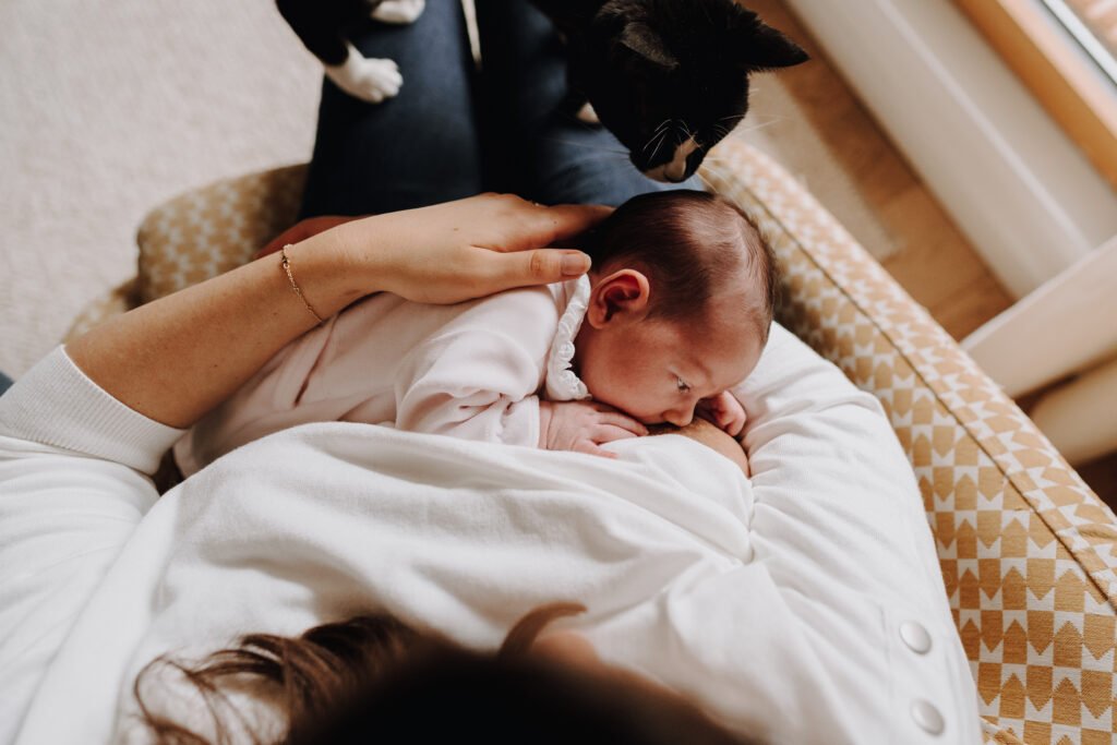 séance photo naissance