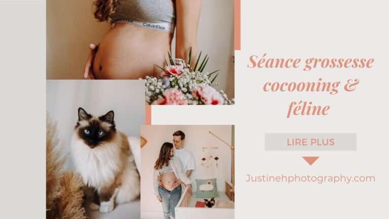 séance grossesse féline