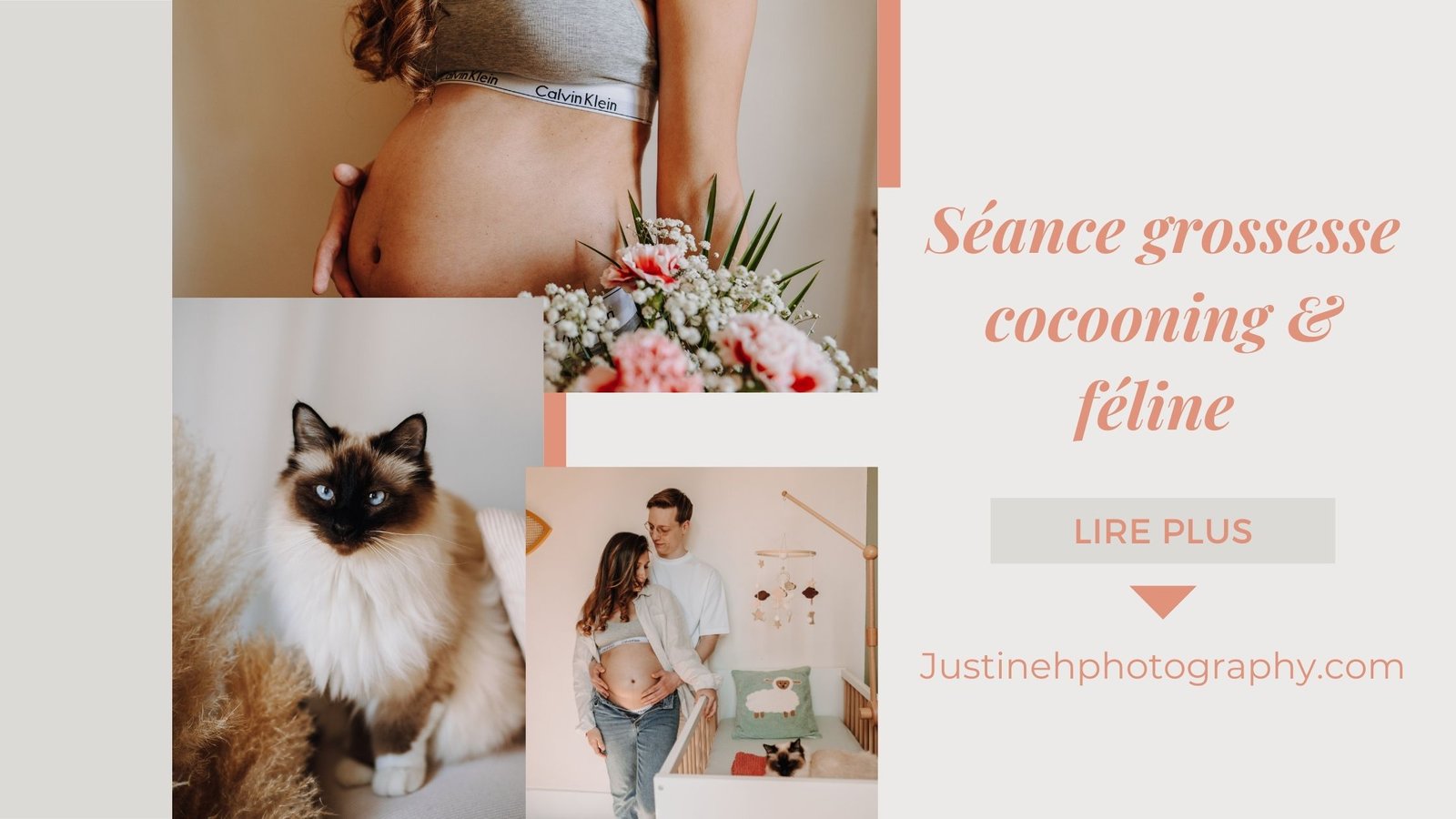 séance grossesse féline