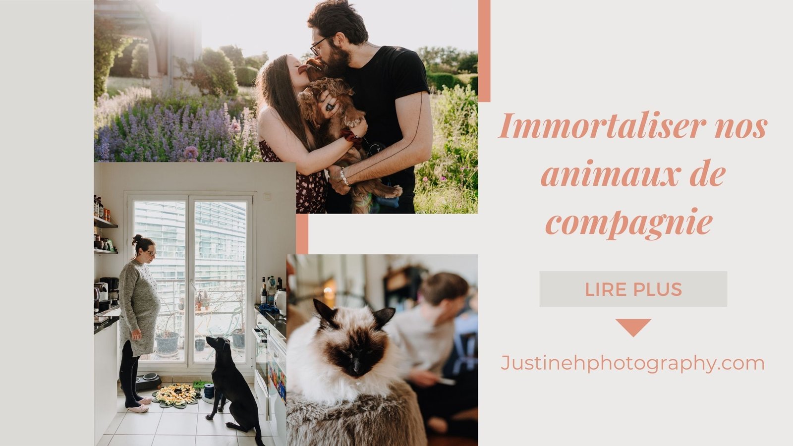 immortaliser nos animaux de compagnie