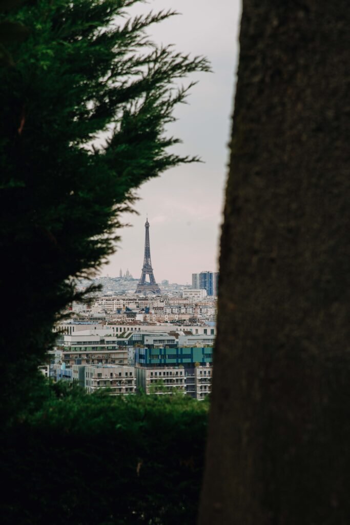 Mariage vu sur Paris