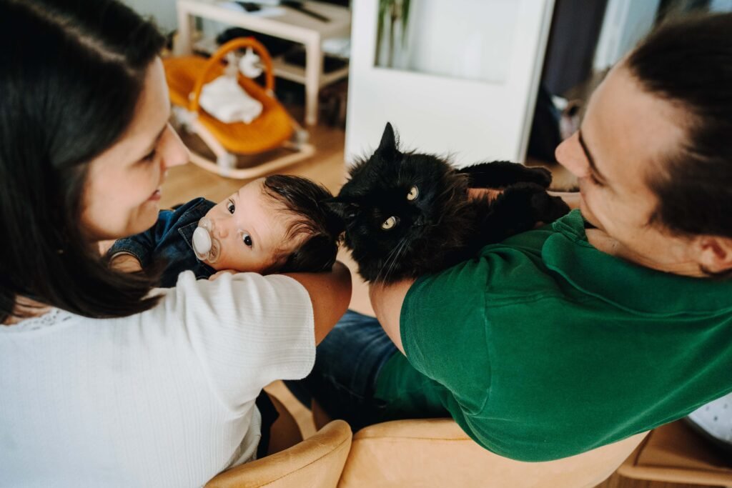 Photo nouveau-né et son chat