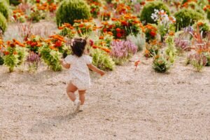 fleurs au parc de sceaux