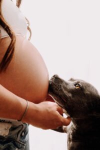 photos de grossesse avec son chien
